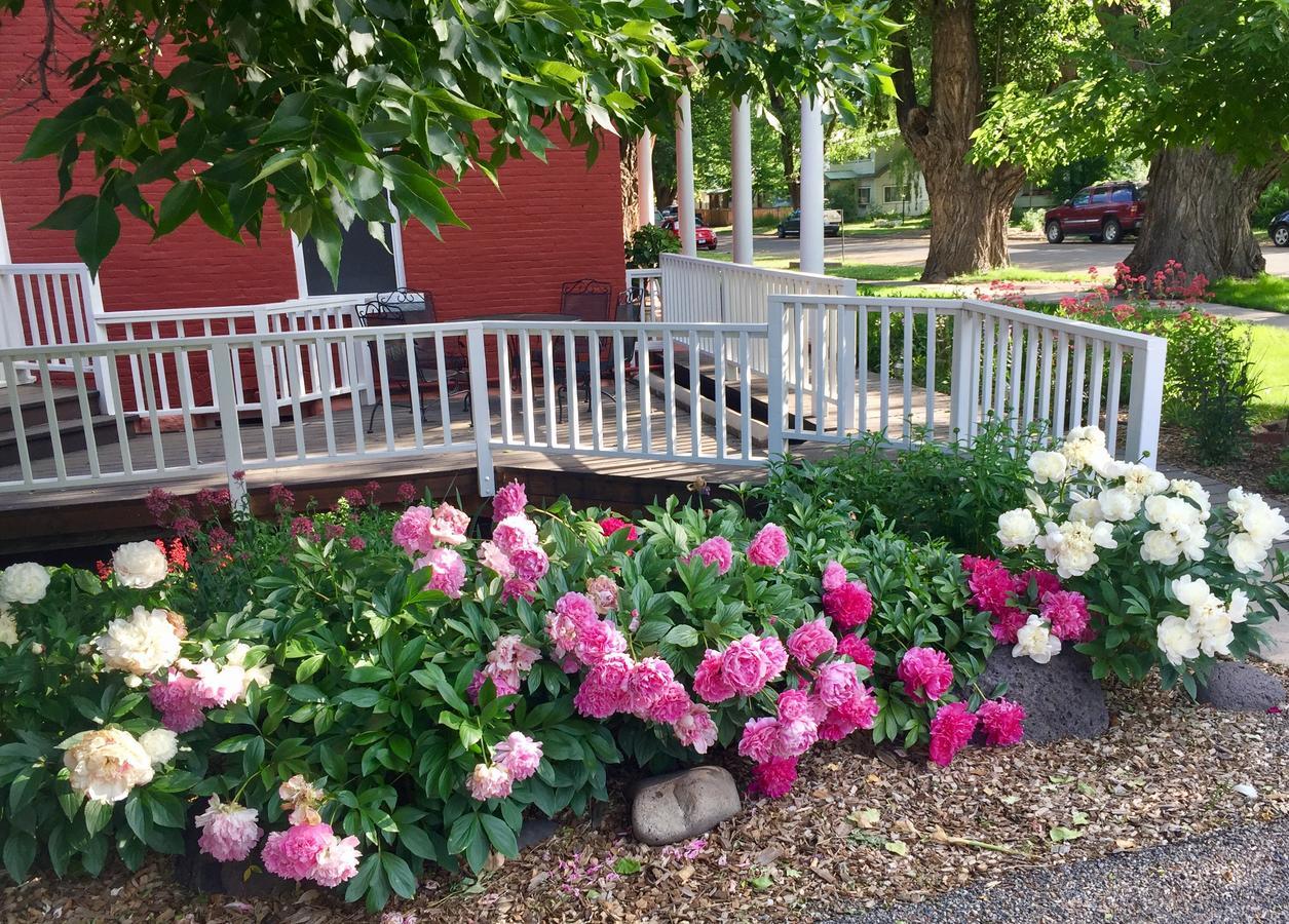 Bross Hotel B & B Paonia Kültér fotó